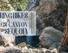 Spring Hikes in Kings Canyon and Sequoia