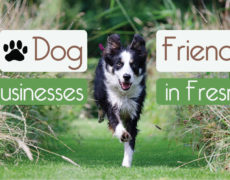 Dog-Friendly Businesses in Fresno