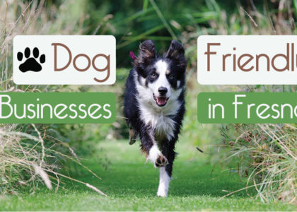 dog friendly businesses in Fresno