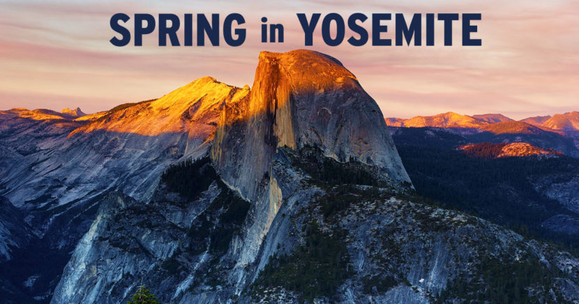 Spring in Yosemite