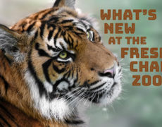 What’s New at the Fresno Chaffee Zoo
