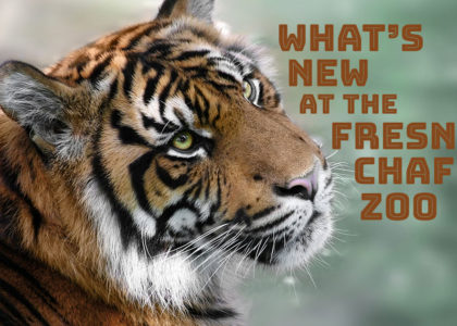 What's New at the Fresno Chaffee Zoo