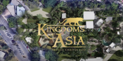 Opening in Fall 2022: Kingdoms of Asia at the Fresno Chaffee Zoo