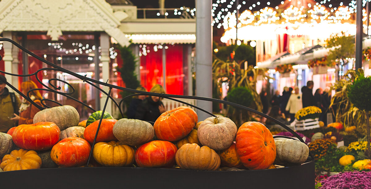Ultimate List of Fall Activities in Fresno